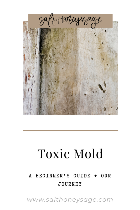 Toxic Mold - A Beginner's Guide + Our Journey